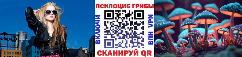 Галлюциногенные грибы Psilocybe  Певек 